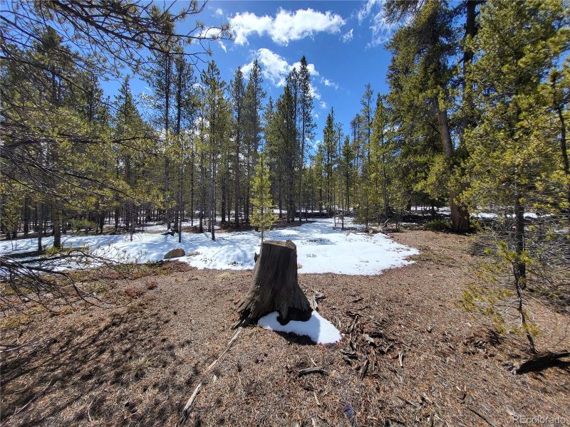 379 - 361 Juniper Dr, Twin Lakes, CO 81251