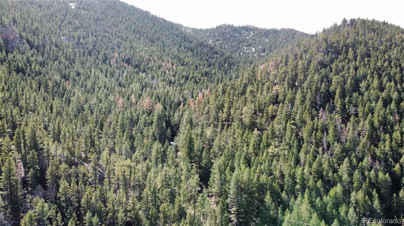 7893 Fourmile Canyon Dr, Boulder, CO 80302