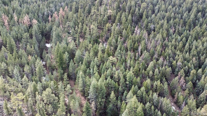 7893 Fourmile Canyon Dr, Boulder, CO 80302