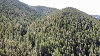 7893 Fourmile Canyon Dr, Boulder, CO 80302