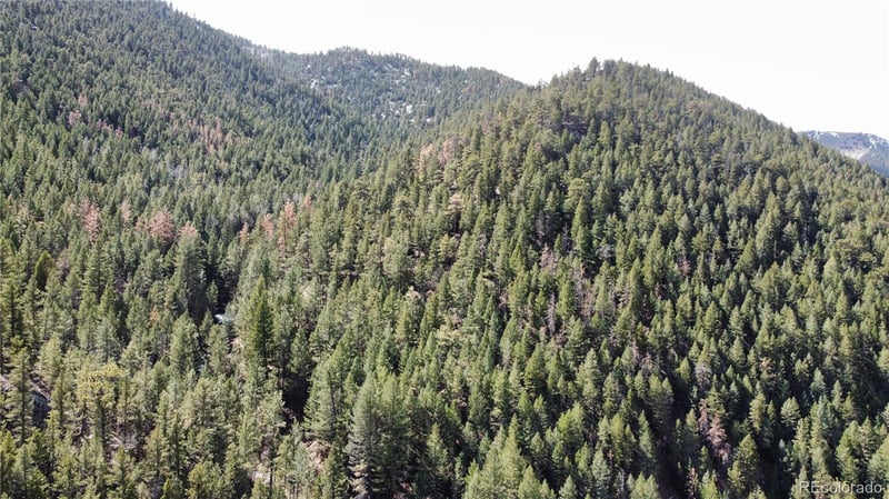 7893 Fourmile Canyon Dr, Boulder, CO 80302