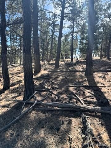 1931 Campfire Rd Lot 1490, Hartsel, CO 80449
