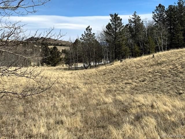 1931 Campfire Rd Lot 1490, Hartsel, CO 80449