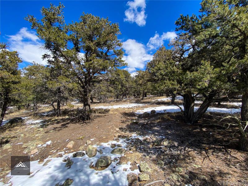 1838 Rockyview Way Lot 1838, Crestone, CO 81131