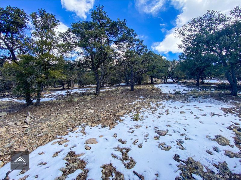 1838 Rockyview Way Lot 1838, Crestone, CO 81131