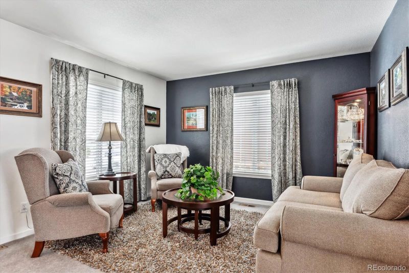 3383 Willowrun Dr, Castle Rock, CO 80109