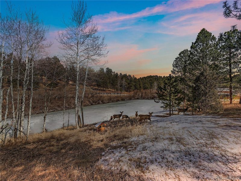 69 Chickadee Dr, Bailey, CO 80421