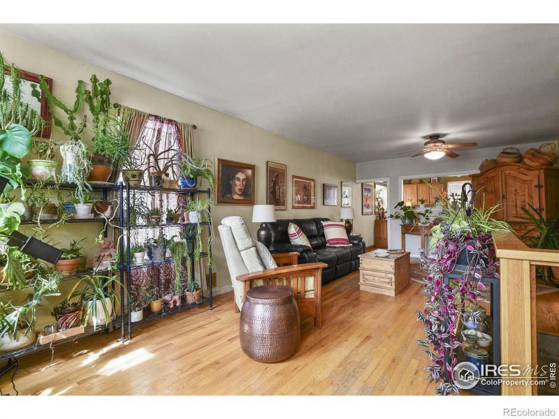 305 E Cannon St, Lafayette, CO 80026