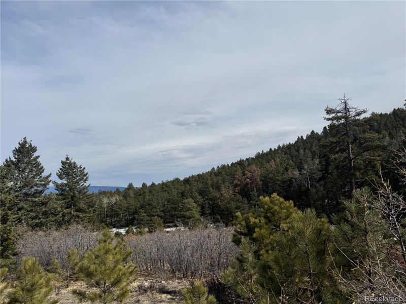 Rainbow Rg, Canon City, CO 81212