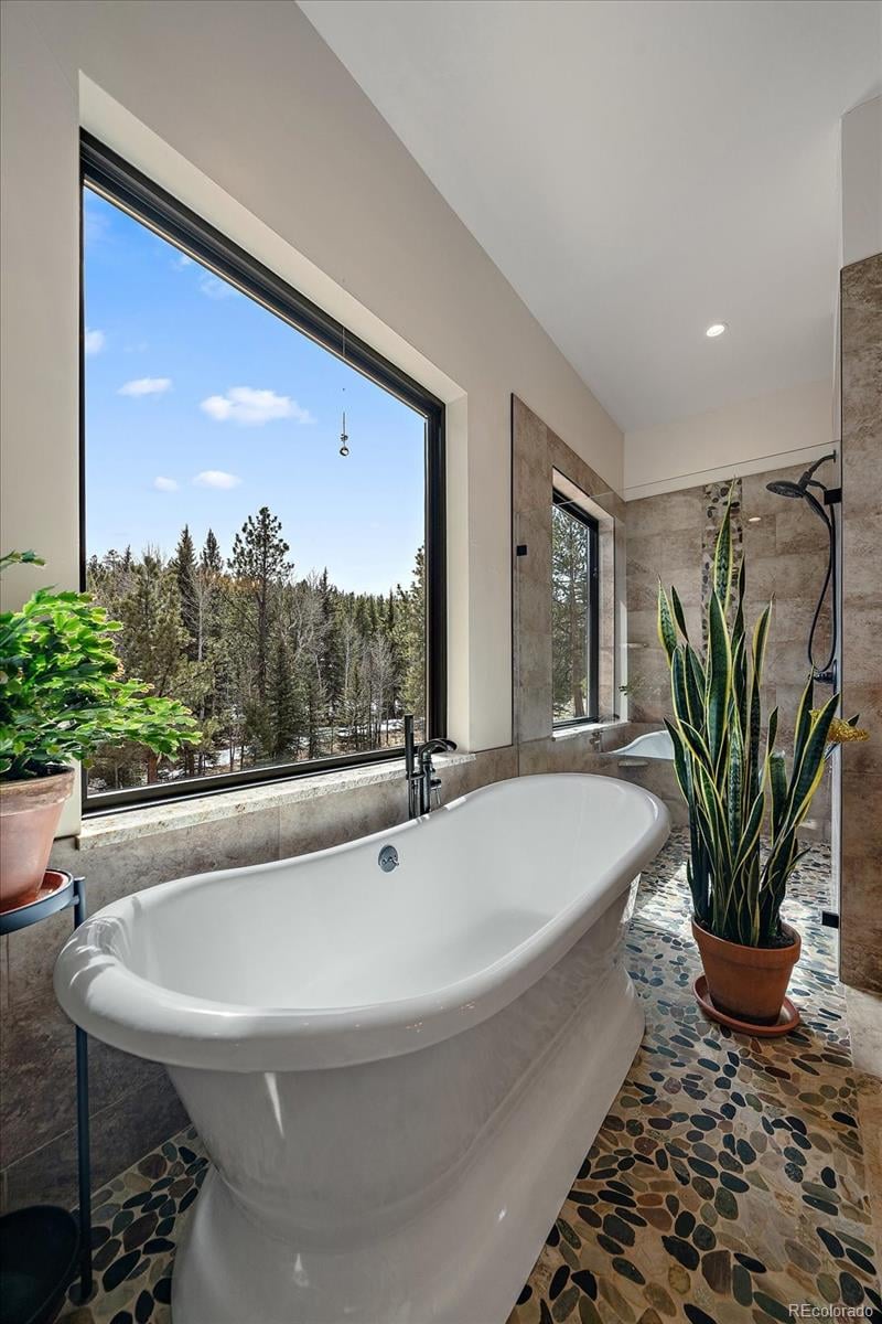 280 Double Tree, Bailey, CO 80421