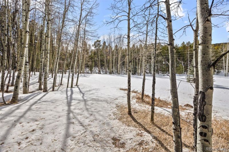 9249 Black Mountain Dr, Conifer, CO 80433