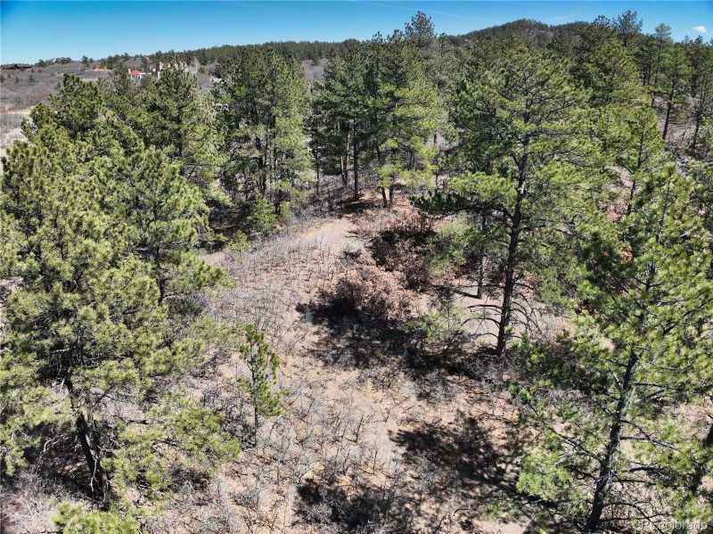 2296 Lupine Cir, Larkspur, CO 80118