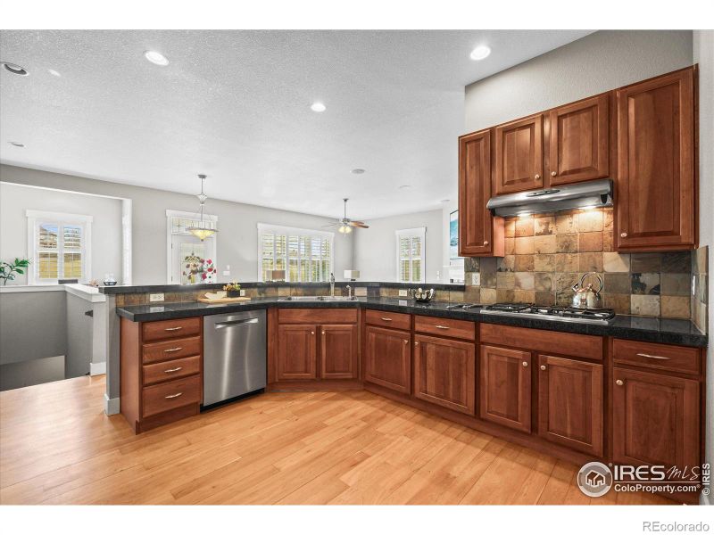 3006 Thunder Lake Cir, Lafayette, CO 80026