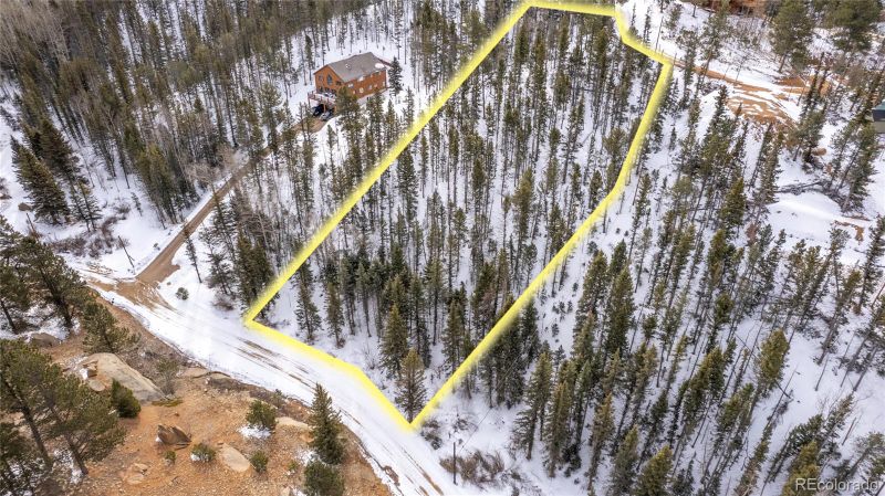 125 Peregrine Way, Divide, CO 80814