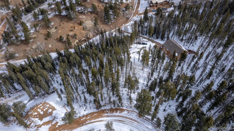 125 Peregrine Way, Divide, CO 80814