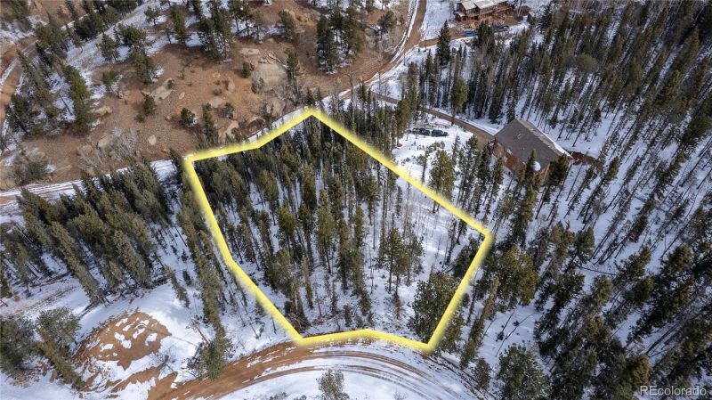125 Peregrine Way, Divide, CO 80814