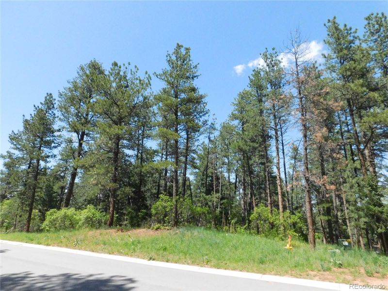 8118 Bannock Dr, Larkspur, CO 80118