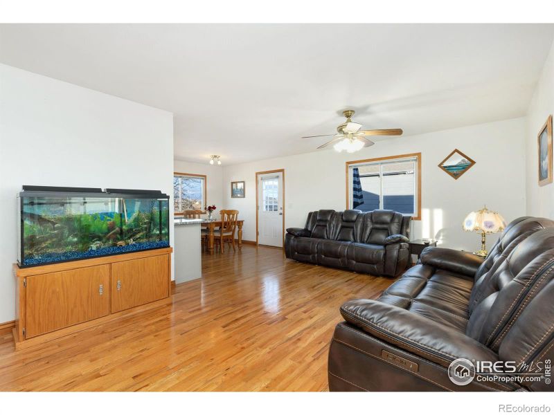721 Sage Pl, Berthoud, CO 80513