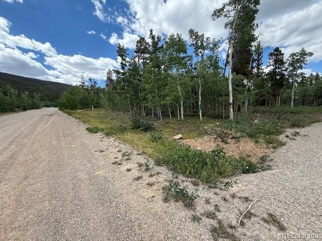 451 Lamb Mountain Rd, Fairplay, CO 80440