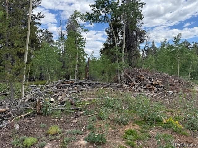 451 Lamb Mountain Rd, Fairplay, CO 80440