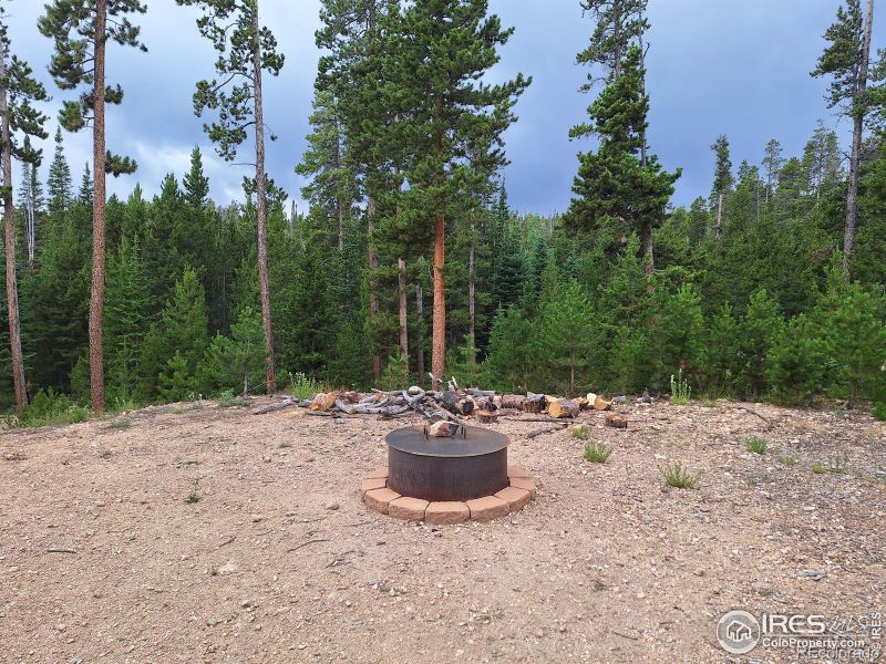 1244 Mosquito Dr, Red Feather Lakes, CO 80545