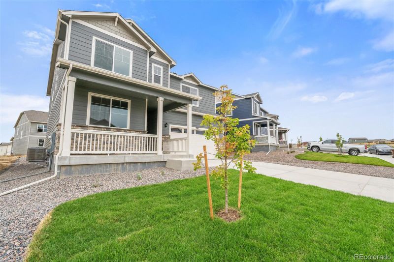 14239 Beebalm Ave, Parker, CO 80134