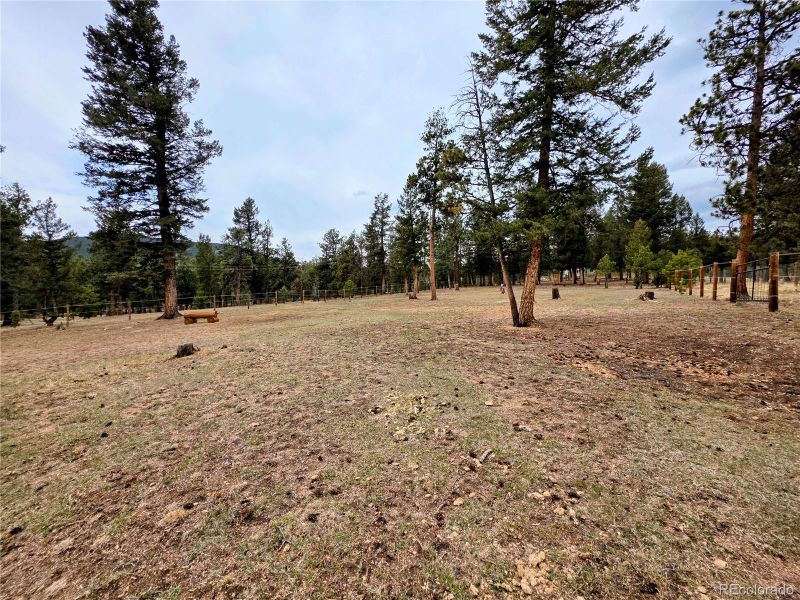 Elk Horn Ct Lot 12, Bailey, CO 80421