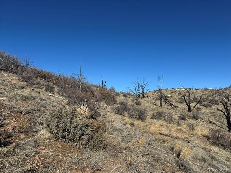 F Path And 37th Trl, Cotopaxi, CO 81223