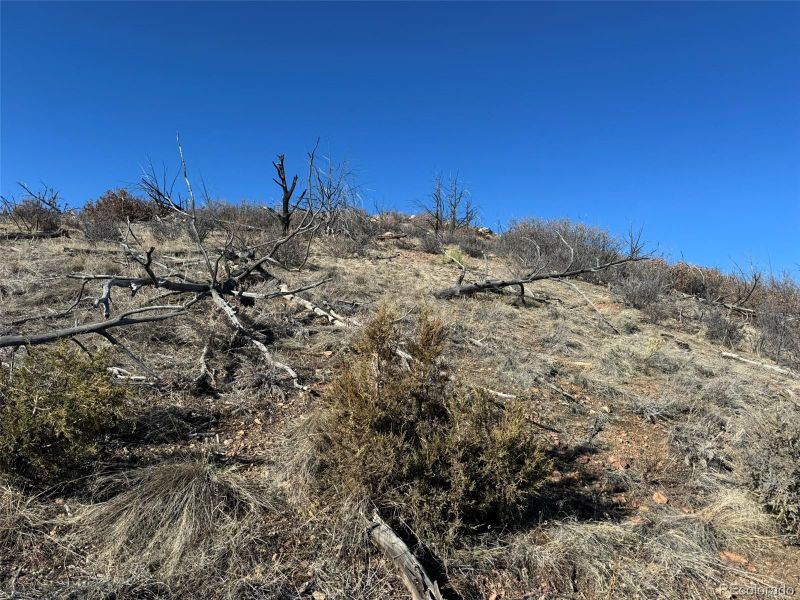 F Path And 37th Trl, Cotopaxi, CO 81223