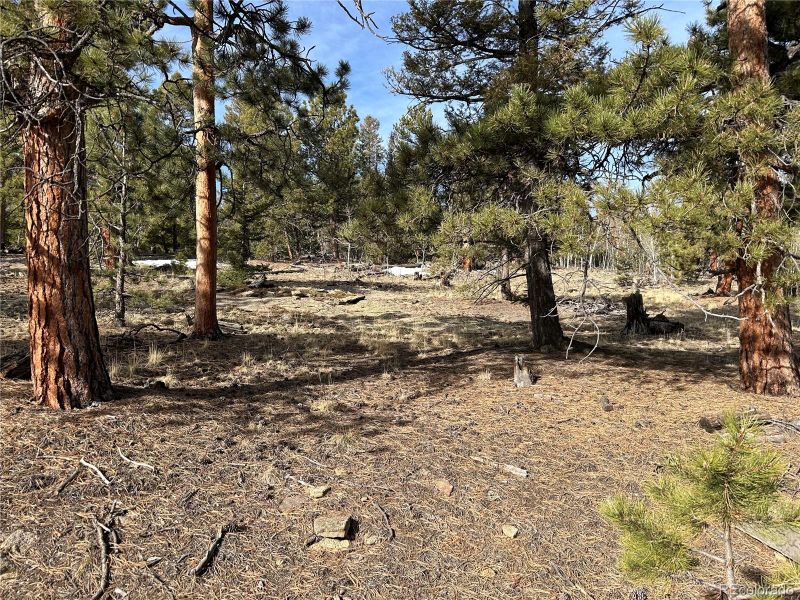 1506 Bellows Rd Lot 1439, Hartsel, CO 80449
