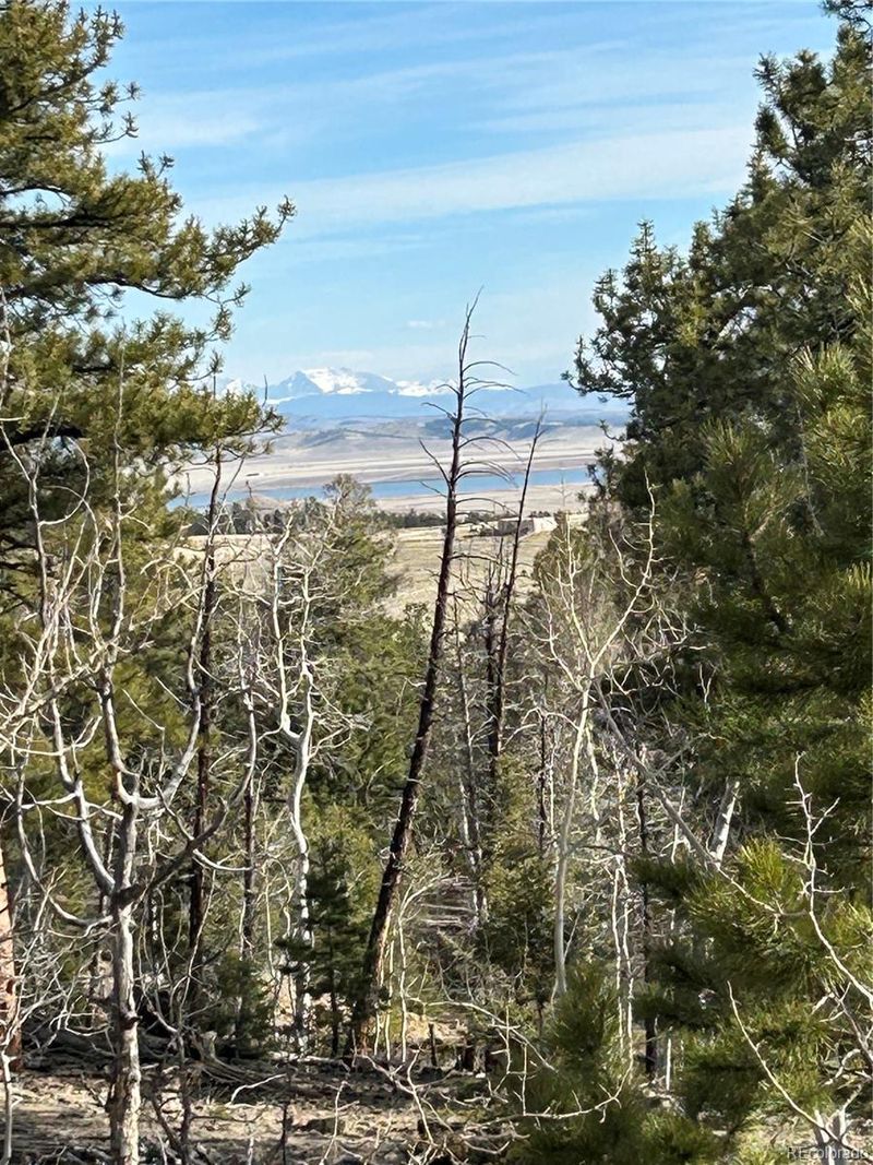 1506 Bellows Rd Lot 1439, Hartsel, CO 80449