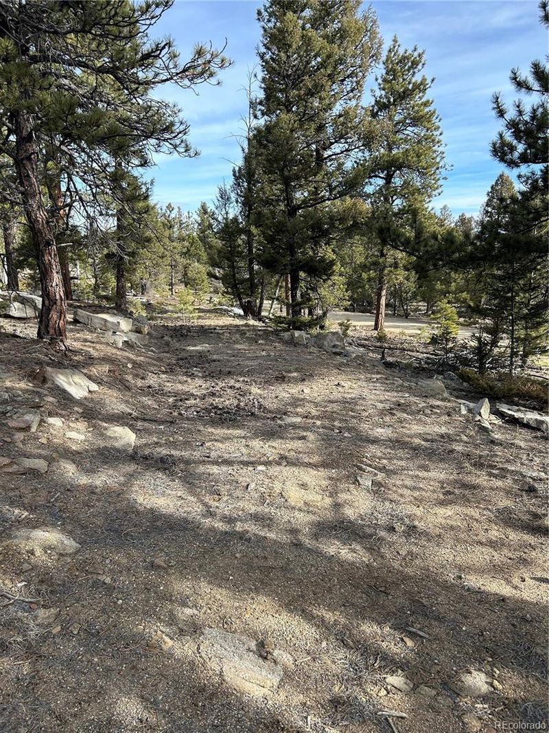 1506 Bellows Rd Lot 1439, Hartsel, CO 80449