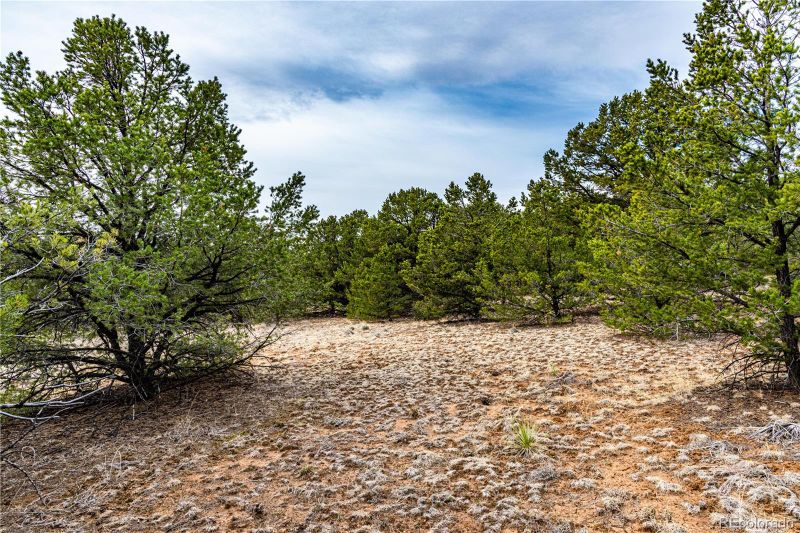 1888 7th Trl, Cotopaxi, CO 81223