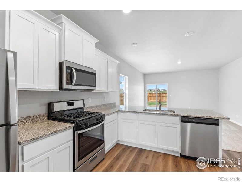 1052 Long Meadows St, Severance, CO 80550
