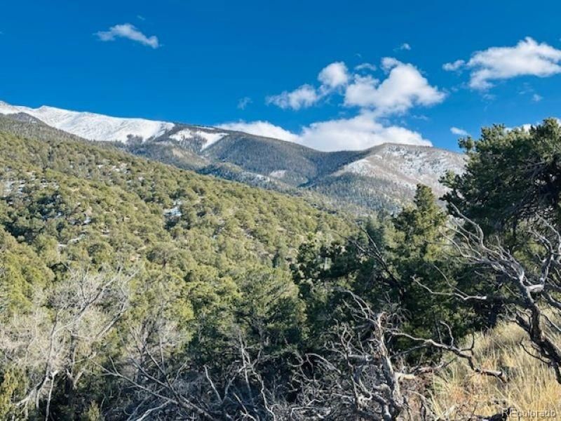 184 Cedar Ridge Rd, Mosca, CO 81146