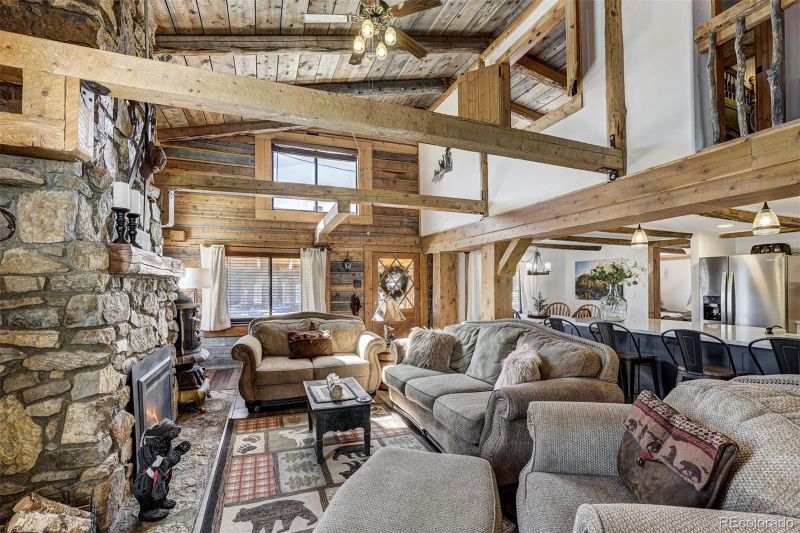 2585 County Road 12, Alma, CO 80420