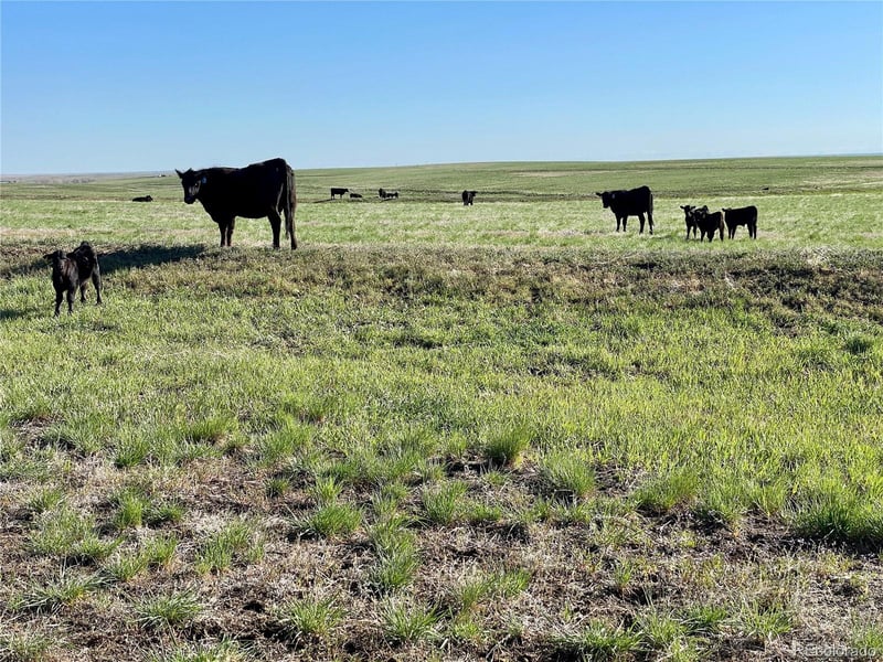 County Road 125 Lot 1, Deer Trail, CO 80105
