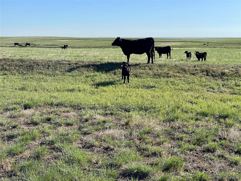 9 County Road 166 Lot 9, Deer Trail, CO 80105