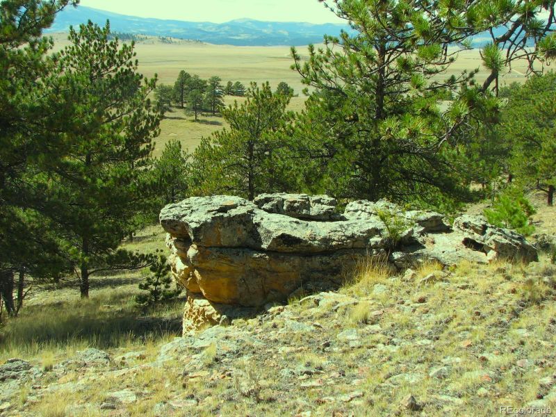 31180 Hwy 9, Hartsel, CO 80449