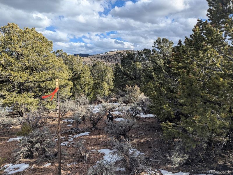 7831 Mallott Rd, Fort Garland, CO 81133