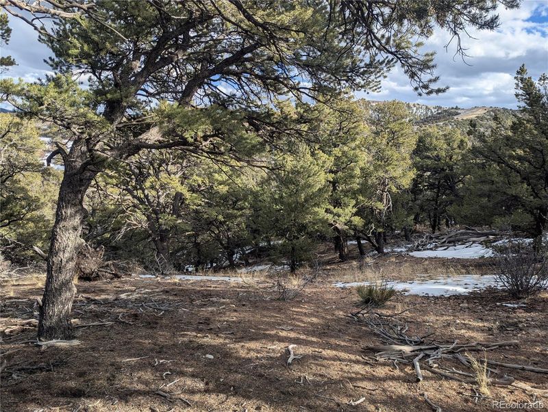 7831 Mallott Rd, Fort Garland, CO 81133