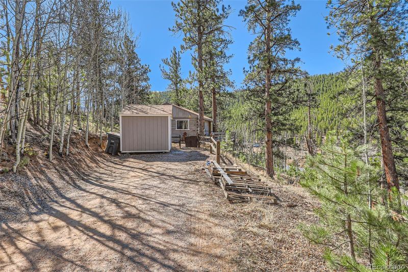 398 Gross Rd, Bailey, CO 80421