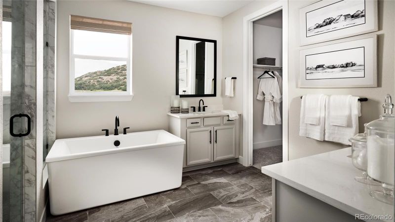 1708 Fox Trotter Point, Castle Rock, CO 80104