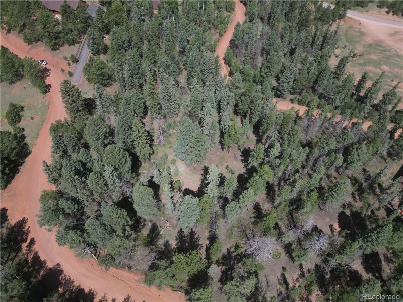 437 Sunset Ln, Cripple Creek, CO 80813