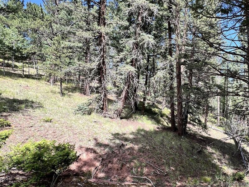 437 Sunset Ln, Cripple Creek, CO 80813