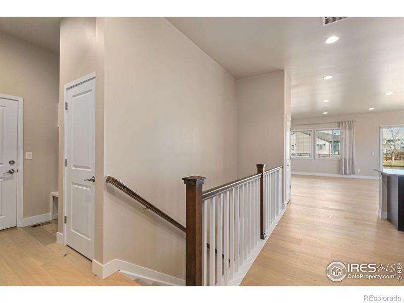 904 Hitch Horse Dr, Windsor, CO 80550