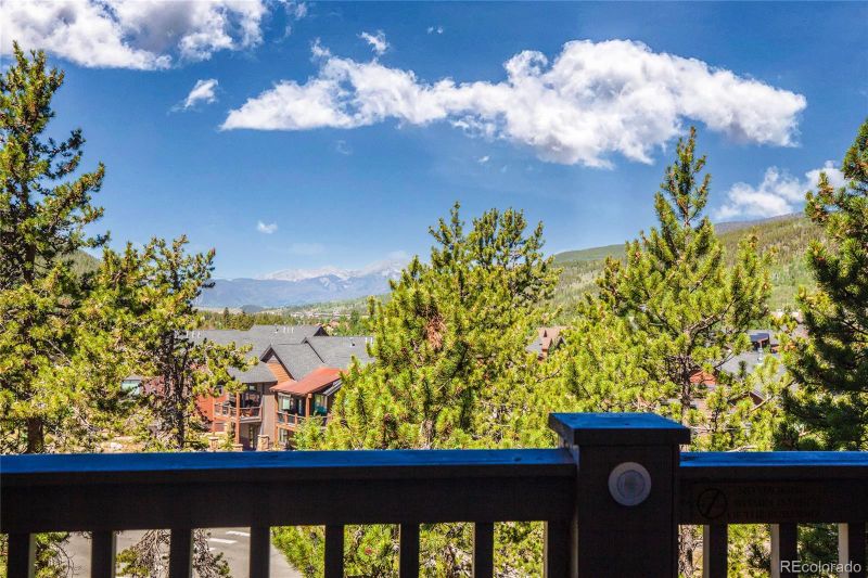 135 Dercum Dr #8634, Dillon, CO 80435