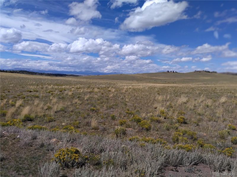 Lenape Trl Lot 3008B, 3008C, 3008D, Hartsel, CO 80449