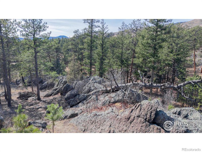 338 Bobcat Pl, Drake, CO 80515
