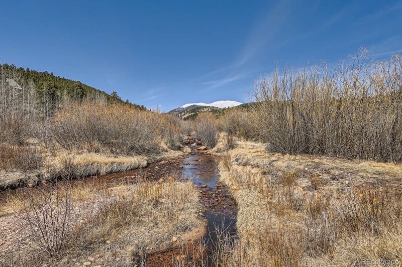 44 Forest Ridge Cir, Bailey, CO 80421